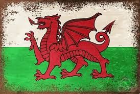 Yr Iaith a Diwylliant Gymreig ym Mro Teifi