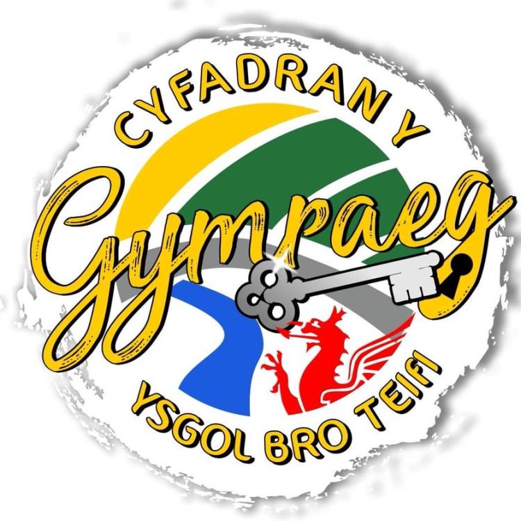 CYFADRAN Y GYMRAEG YSGOL BRO TEIFI